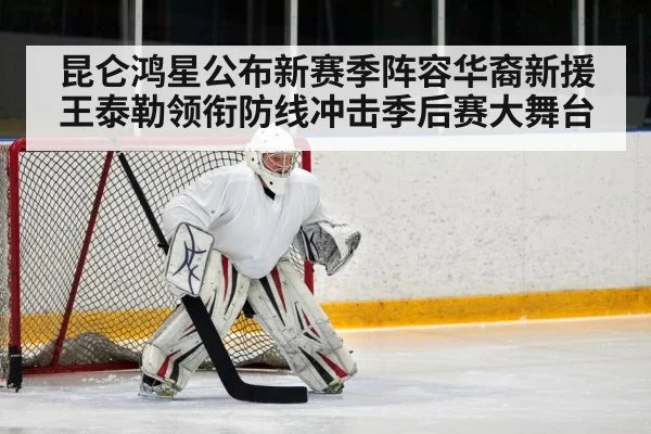 ice hockey defenseman