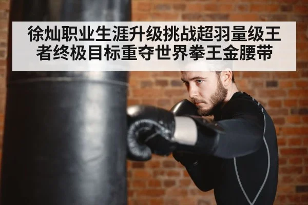 徐灿职业生涯升级挑战超羽量级王者终极目标重夺世界拳王金腰带